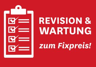 icon Revision und Wartung