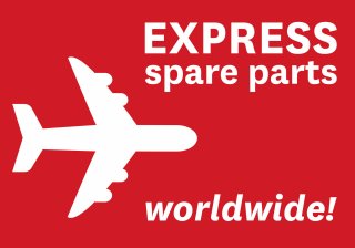 icon express delivery worldwide