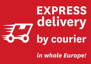 icon Expresslieferung courier
